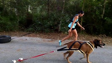 Kat and Miko sled pull