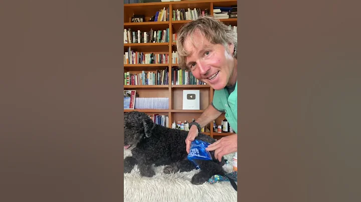 Dog ACL injury: Heal without Surgery