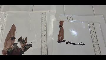Bloodstain Pattern Analysis: Creating Bloodstains. jeffreygentry.bpa@gmail.com