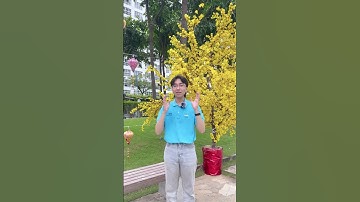 Công nghệ điện phân Magie cực tan có cụm phân tử nước siêu nhỏ