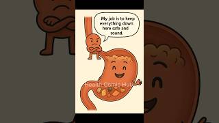 The Overstuffed Stomach