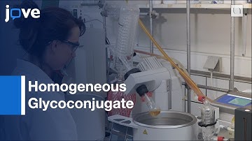 Combined Unnatural Amino Acid Incorporation & Click-Chemistry l Protocol Preview