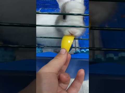 он мужчина эталон