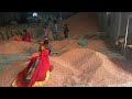 Discover the MOST EFFICIENT Peanut Processing Plant