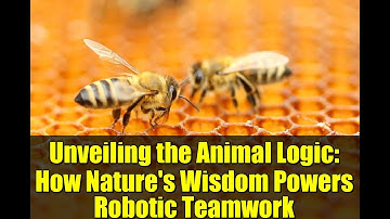 Unveiling the Animal Logic: How Nature