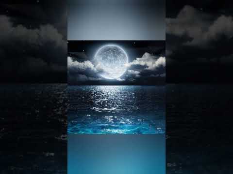 أداء زهره بأغنية بحر الحياه من مسلسل زهره وازواجها الخمسة