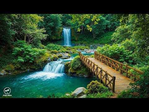 Healing Music for Your Heart and Mind – Just Listen and Feel the Calm