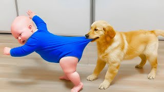 Download Lagu The Funniest \u0026 Cutest Interactions Between Babies and Animals - Funny Baby Video || COOL PEACHY MP3 Download Lagu The Funniest \u0026 Cutest Interactions Between Babies and Animals - Funny Baby Video || COOL PEACHY MP3