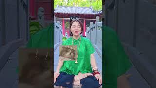 #fengshuitips
