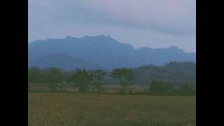 Download Lagu Layur - Dawn MP3 Download Lagu Layur - Dawn MP3