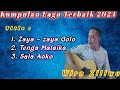 Kumpulan lagu terbaik wira ziliwu 2024agushalawa28