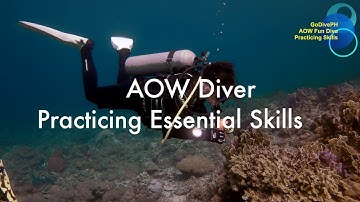 Scuba Buoyancy, Trim & DSMB Deployment | GoPro Underwater