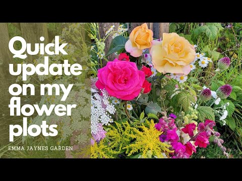 Tour of my allotment flower plots - YouTube