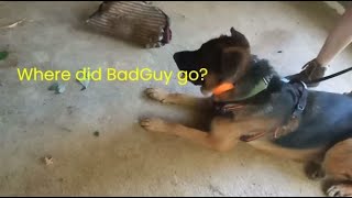 Scenario Training [Keeping Lycan sharp] by Adventures with Lycan my German Shepherd Dog 68 views 2 weeks ago 15 minutes