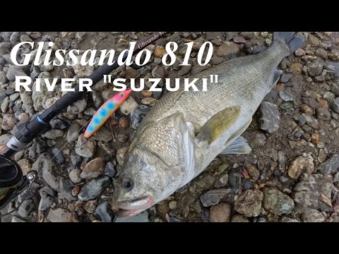 Glissando 810 