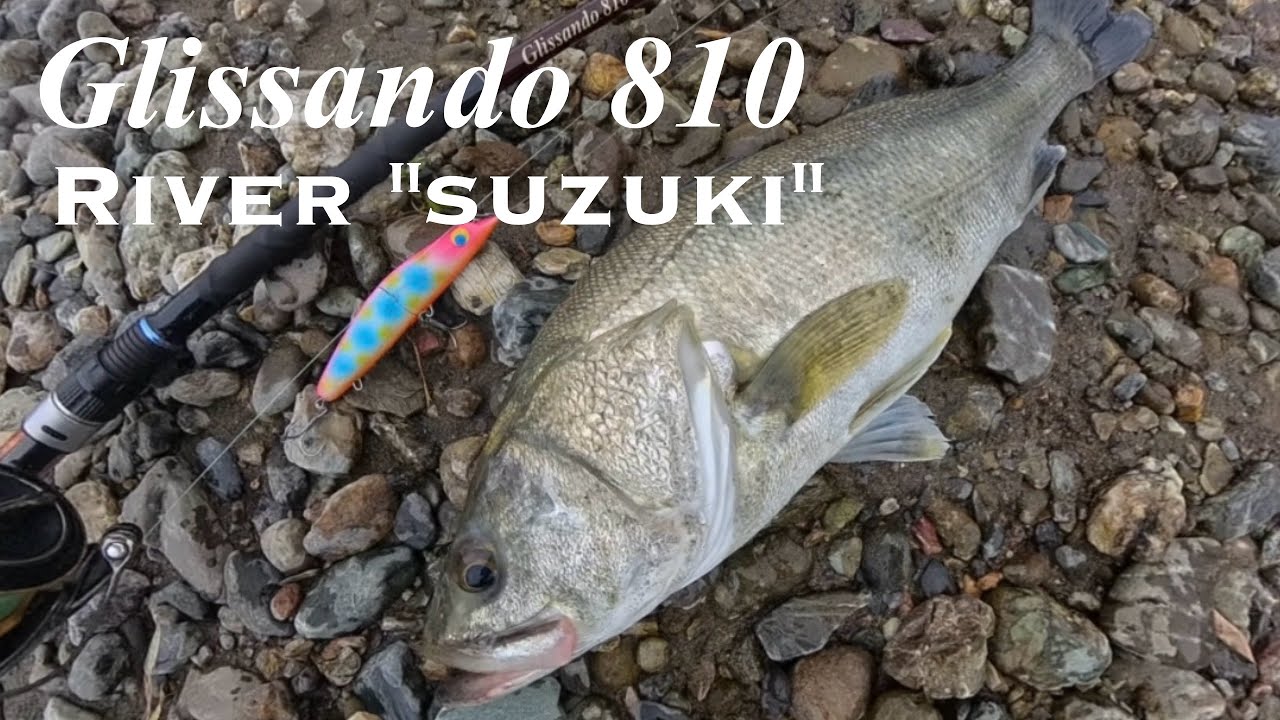 Glissando 810 
