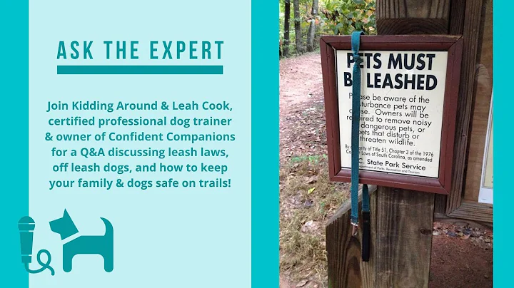 Talking with Leah Cook about leash laws, loose dog...