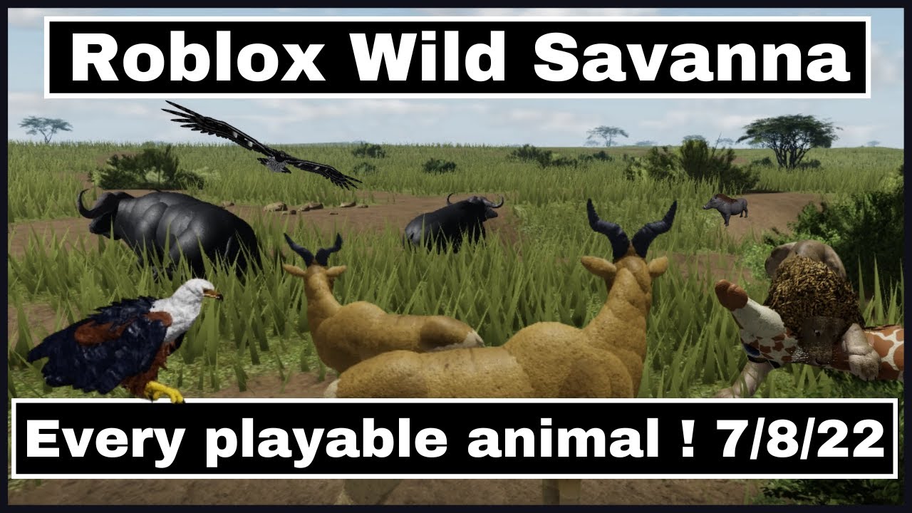 Top 3 Upcoming Roblox Animal Games