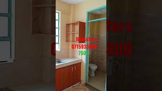 Smart Bedsitter Flats in Ongata Rongai. #airbnb #realestate #viral #trending #love #rongairentals
