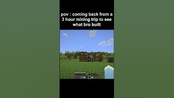 pov: coming back from a 3 hour mining trip to see what bro built