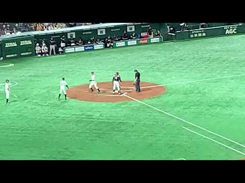 2019 06 09　東京ドーム　巨人　VivaGiants（若林HR）