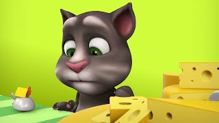 Queso | Cortos de Talking Tom | Dibujos animados para niños | WildBrain Niños