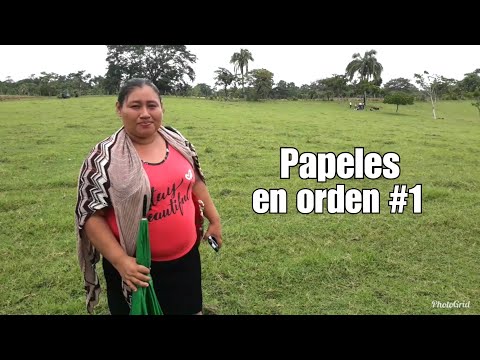 Video: Cómo Conseguir Terreno Para El Pabellón