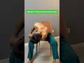 One Stretch That Targets Your Entire Back and Releases Stiffness Fast