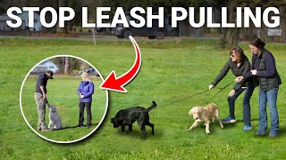 How Dog Trainers Stop Dogs from Pulling on Their Leash! by Shannon Walker - The Pack Leader 1,226 views 2 months ago 3 minutes, 26 seconds