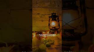 La Vida No Es Lineal