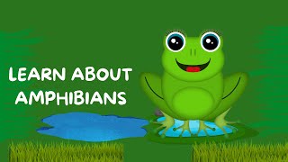 Leap into Learning: The Wonderful World of Amphibians! kids video