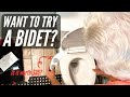 How to Install a Non-Electric Bidet | is this $35 bidet worth it?