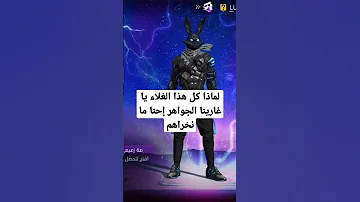 سكن الأرنب الرعدي الجديد 