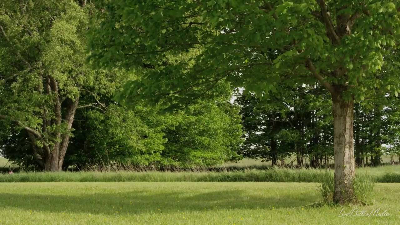 Krásná Keltská hudba Relaxační s Natural Sounds odpočinek, spánek, lázní, meditace