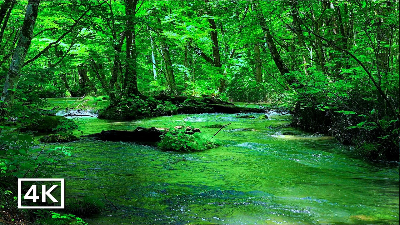 10 Hours of Gentle Water Sounds | Sleep • Focus • Study