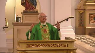 Fr. Wolf - VII Domingo Ordinario (6PM)