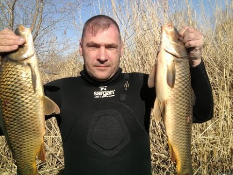 запрет на рыбалку весна 2016 саратовская область