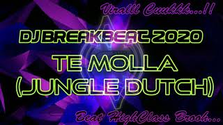 DJ VIRAL 2020 - TE MOLLA (JUNGLE DUTCH) - BREAKBEAT PALING MANTAP BROOO....