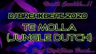 DJ VIRAL 2020 - TE MOLLA (JUNGLE DUTCH) - BREAKBEAT PALING MANTAP BROOO....
