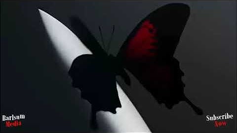 Thumbnail of Post Malone - I Cannot Be (A Sadder Song) (Audio) Ft. Gunna