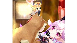 【白猫】星50 愛と絆と正義は世界を救う:#オスクロル(20凸,大剣) &amp; #ソアラ(30凸,極拳):Lv.9999 超灼熱:(HP1500兆, 2分14秒)|#白猫プロジェクト 2024-06-07