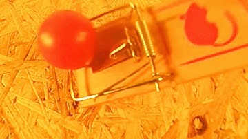 Tomato and mouse trap 120 and 240 fps Super Slow Motion GoPro Hero3+ Plus Black