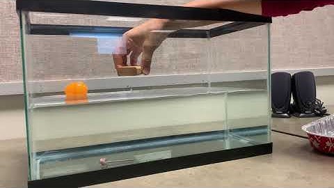 Wooden Block Sink or Float