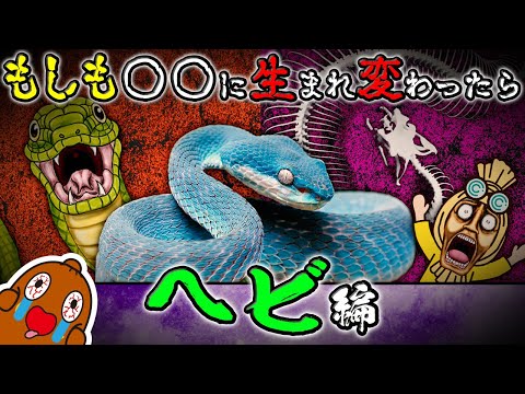 わっくんのへび わっくんのへび わっくんのへび