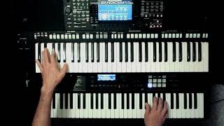 Video thumbnail of "Karel Gott - Jdi za štěstím cover instrumental keyboard"