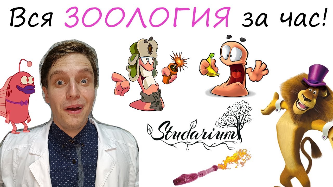 студариум русский