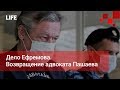 Дело Ефремова. Возвращение адвоката Пашаева