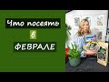 Что посеять в феврале?