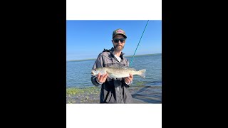 HOW TO CATCH SPECKLED TROUT FROM LAND IN OCEAN CITY MARYLAND 2024