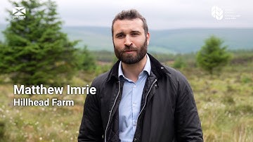 Scottish agriculture - Integrating Trees Network - Hillhead Farm